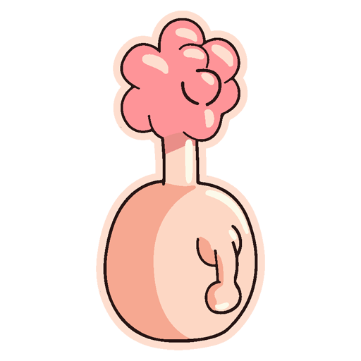 plumbuss